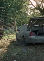 twd0712-2011.jpg