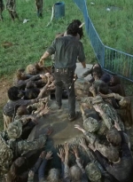 twd0712-2098.jpg