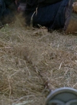 twd0712-2421.jpg