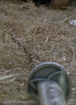 twd0712-2423.jpg