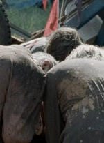 twd0712-2424.jpg