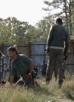 twd0716-3269.jpg