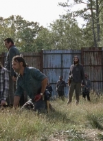 twd0716-3279.jpg