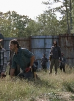 twd0716-3283.jpg