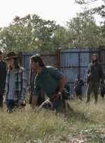 twd0716-3304.jpg