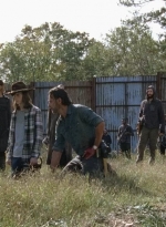 twd0716-3305.jpg