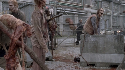 twd0801-1321.jpg