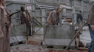 twd0801-1323.jpg