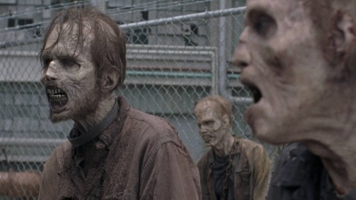 twd0801-1393.jpg