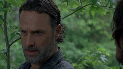 twd0801-2400.jpg