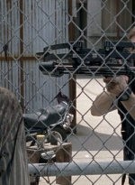 twd0801-0199.jpg