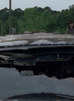 twd0801-0450.jpg