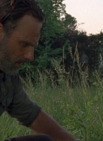 twd0801-0970.jpg