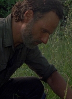 twd0801-0978.jpg