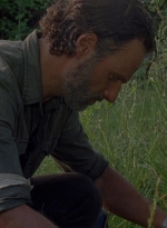 twd0801-0979.jpg