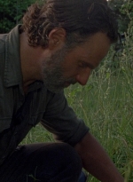 twd0801-0980.jpg