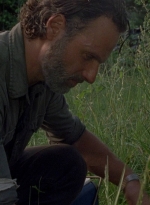 twd0801-0982.jpg