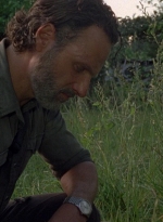 twd0801-0988.jpg