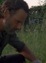 twd0801-0990.jpg