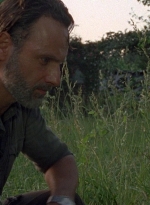 twd0801-0991.jpg