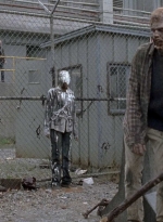 twd0801-1316.jpg