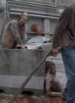 twd0801-1325.jpg