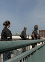 twd0801-1372.jpg