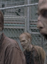 twd0801-1394.jpg