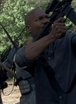 twd0801-2010.jpg