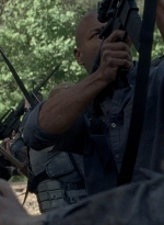 twd0801-2011.jpg