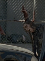 twd0801-2134.jpg