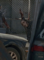 twd0801-2139.jpg