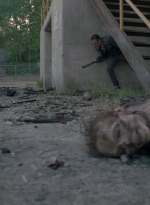 twd0801-2203.jpg