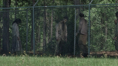 twd0802-0478.jpg