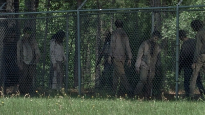 twd0802-0482.jpg