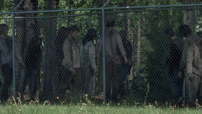 twd0802-0486.jpg