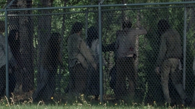 twd0802-0488.jpg