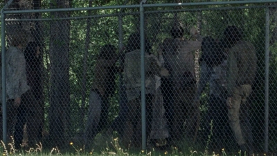 twd0802-0489.jpg