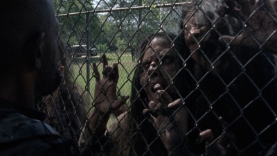 twd0802-0494.jpg