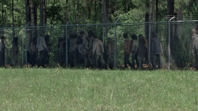 twd0802-0501.jpg