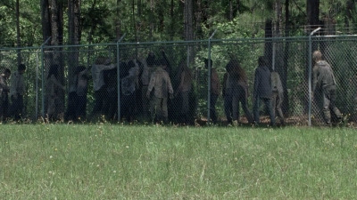 twd0802-0503.jpg