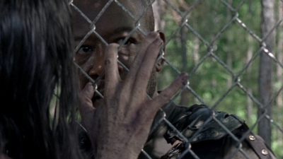 twd0802-0509.jpg