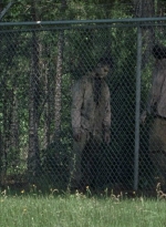 twd0802-0478.jpg