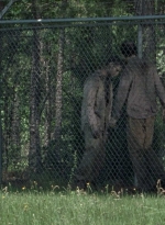 twd0802-0479.jpg