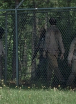 twd0802-0482.jpg