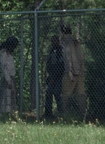 twd0802-0483.jpg