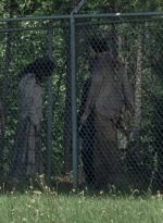 twd0802-0484.jpg