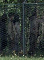 twd0802-0487.jpg