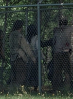 twd0802-0488.jpg