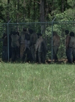 twd0802-0500.jpg